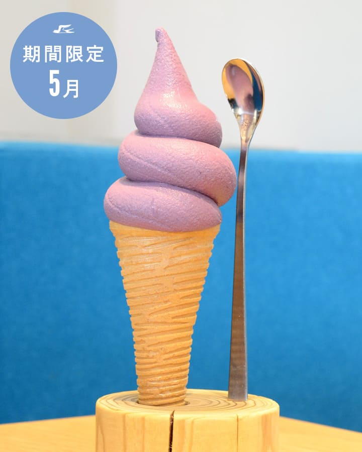 ブルーベリー