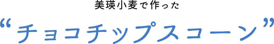 美瑛小麦で作ったチョコチップスコーン